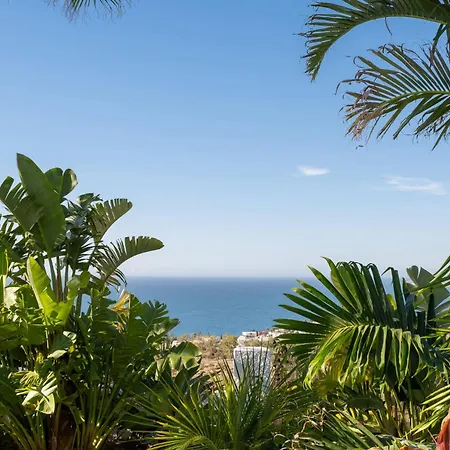 Pensionat Bed & Breakfast In Eden Palm